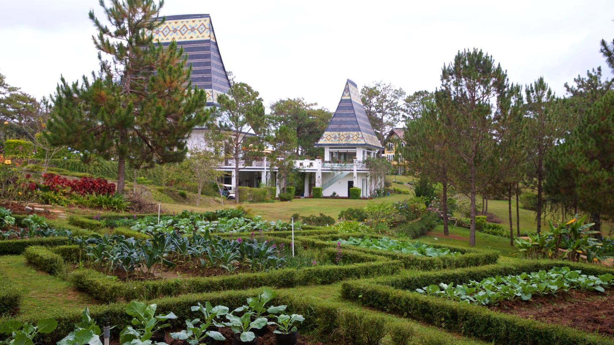 דה לאט Binh An Village Resort מראה חיצוני תמונה